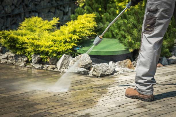 Best Pre-Holiday Cleaning  in Collierville, CA