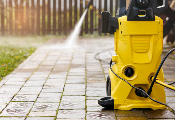 Best Animal Enclosure Cleaning  in Collierville, CA